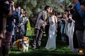 Love, joy, and furry friends in this wedding photo, taken at the beautiful Allied Arts Guild in Menlo Park, California. See the bride and groom share a sweet moment, adorned by their beloved dogs on leashes.